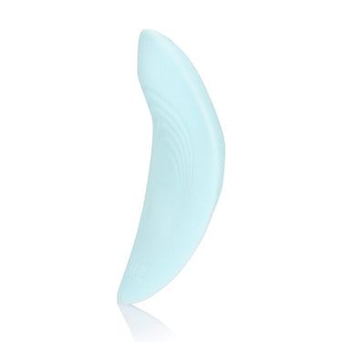 The Remote Control Couples Hands Free Panty Vibrator displayed next to its USB charger, showcasing its rechargeable feature.